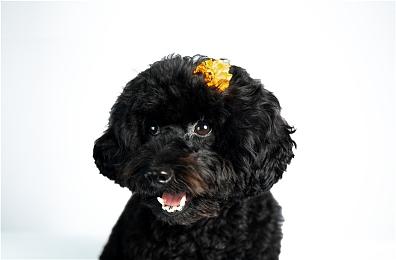 《ENDLESS™ DUNGEON》 “Second Chance”OpenDev 公测开启！